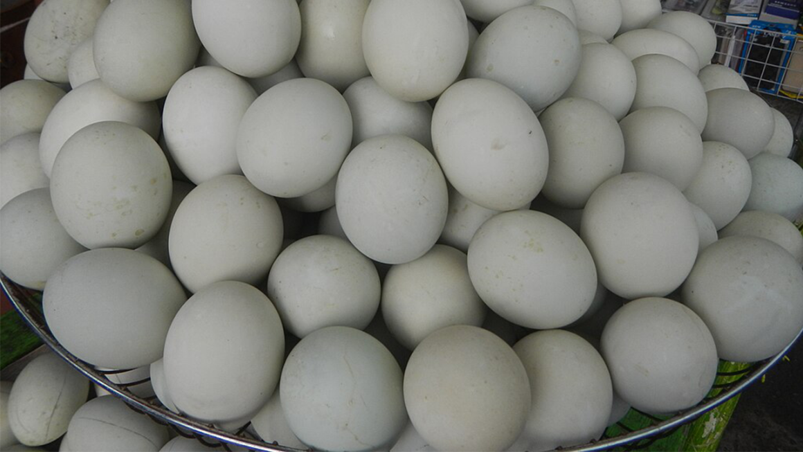 Balut: The Quintessential Filipino Street Food